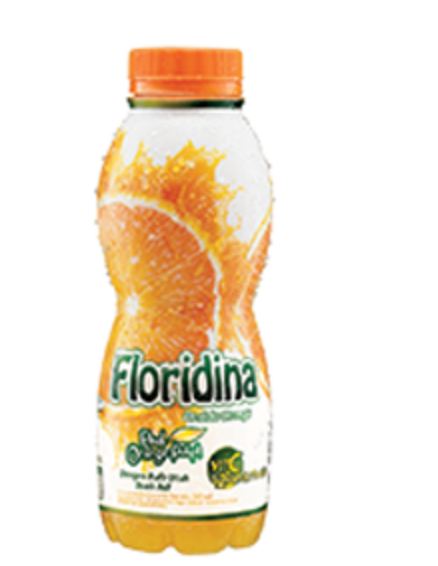 Floridina Orange Pulp 350ml